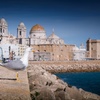 Image 5: Tour a Cádiz desde Sevilla