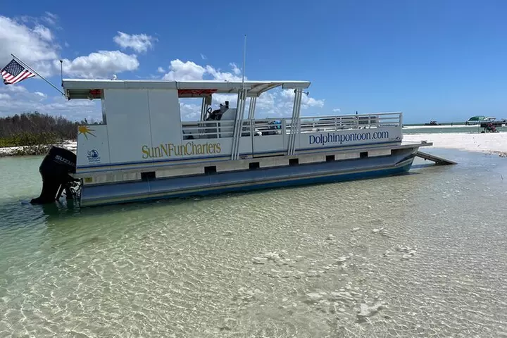 2 HR Dolphin Tour for 7 people