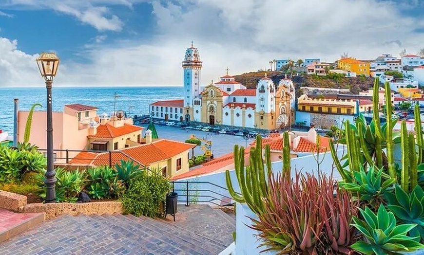 Image 9: Tour privado por Tenerife con guía en clase Mercedes V