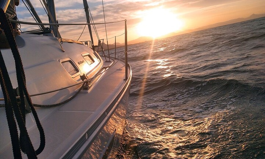 Image 9: Tour en grupo pequeño con delfines al atardecer en velero eléctrico...