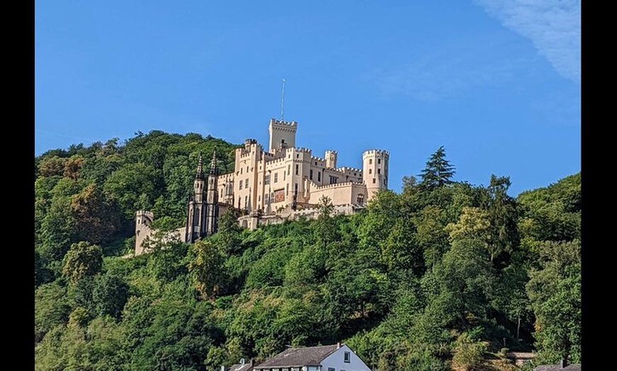 Image 4: Schloss Koblenz Stolzenfels Private Tour