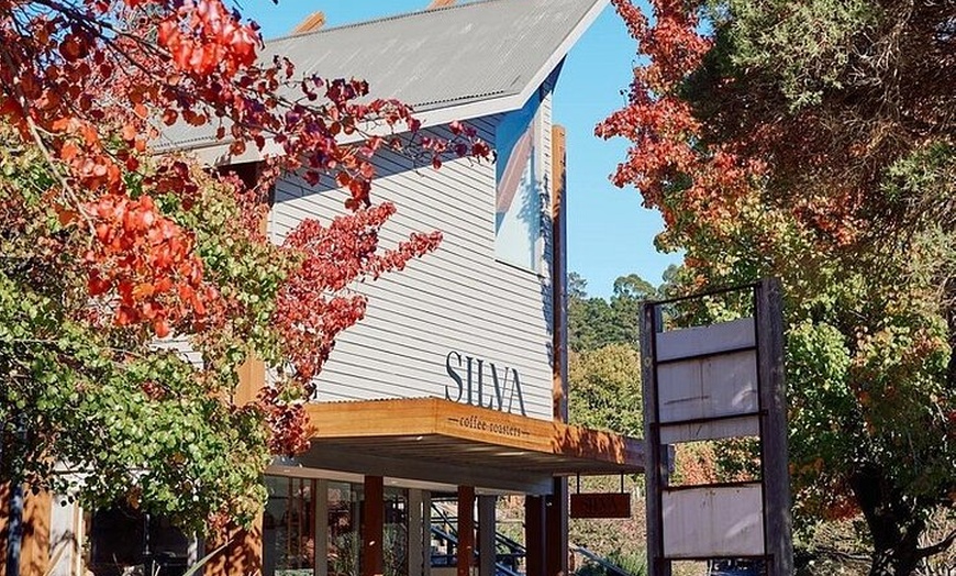 Image 10: Small Group Yarra Valley: Redwoods Forest & Premium Wine Tour