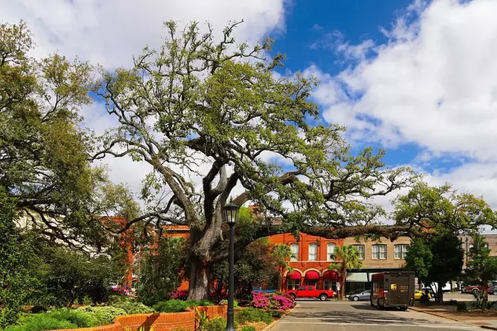 Hilton Head to Savannah Round-Trip Ferry Ticket