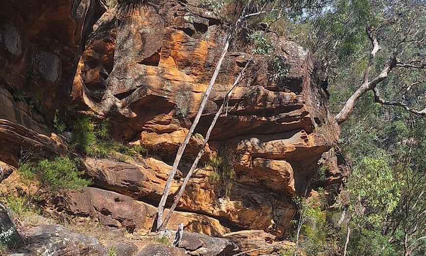 Image 4: Blue Mountains 3 Hour Guided Eco Tour - close to Sydney