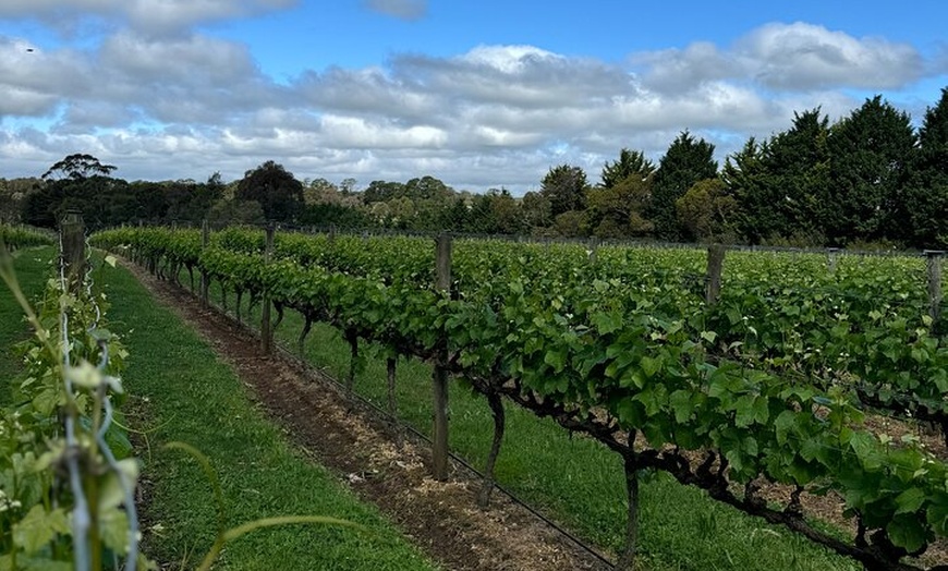 Image 2: Melbourne: Private Mornington Peninsula & Winery Tours.