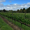 Image 2: Melbourne: Private Mornington Peninsula & Winery Tours.