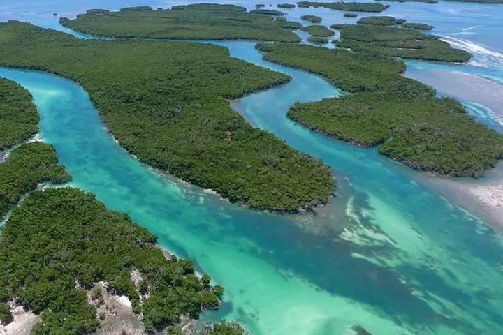 Key West Safari Eco Sandbar Tour Adventure with Snorkeling
