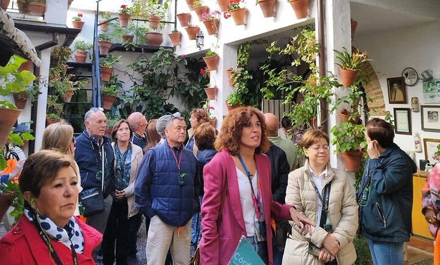 Image 3: Tour Guiado por el Concurso de Patios de Córdoba