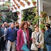 Image 3: Tour Guiado por el Concurso de Patios de Córdoba