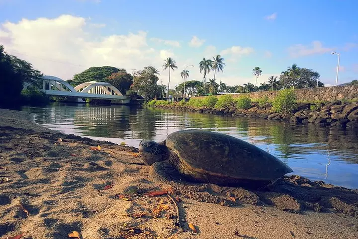 Private Stand up Paddle Lesson and Tour (for 1 or more paddlers)
