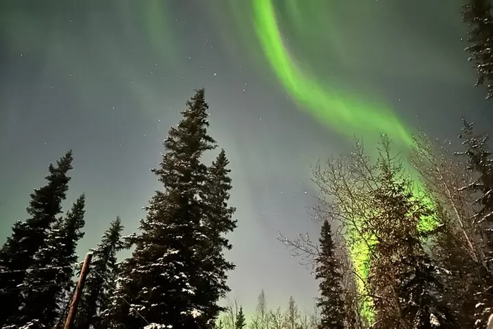 Vip Aurora Adventure from Fairbanks
