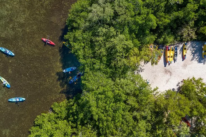 Sarasota Mangrove Tunnel Guided Kayak Adventure