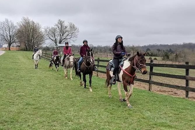 Guided Trail Rides on Horseback - Primary Image