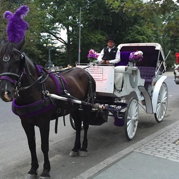 central park carriage ride groupon