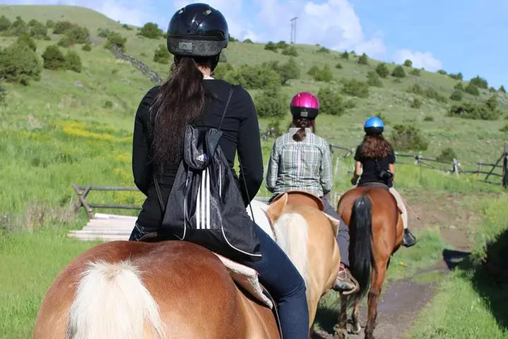 Blue Flower Trail Ride