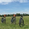 Image 2: Windsor and Thames Valley Bike Tour