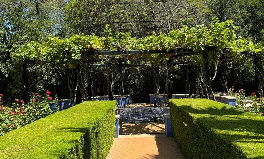 Image 2: Excursión de un día a Denia y los jardines mediterráneos