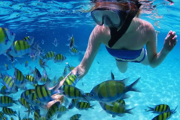 Snorkel in the second largest reef in the world Colorful tour in Pu...
