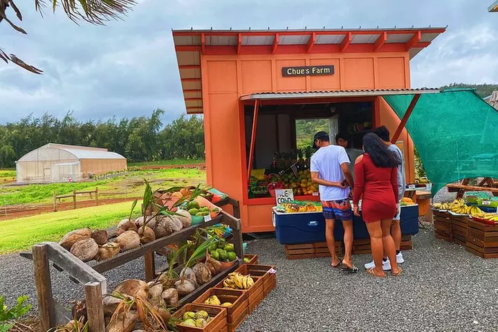 Oahu Island Experience feat the North Shore (Small Group Tour)