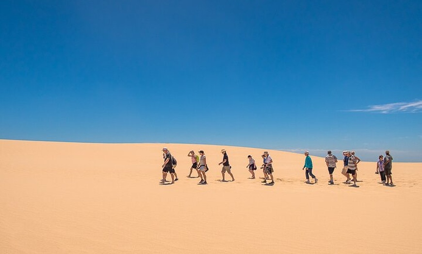 Image 4: Coorong 6-Hour Adventure Cruise