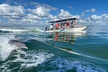 Marco Island Dolphin Sightseeing Tour - Second Medium