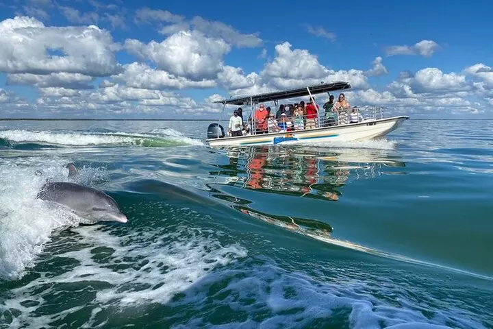 Marco Island Dolphin Sightseeing Tour