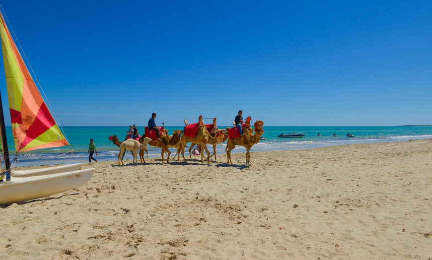 Image 12: ✈ TUNISIA | Djerba - Djerba Resort Hotel 4* - All inclusive