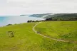 Walk with Wildlife: Guided Tour in Great Ocean Road - Image 5
