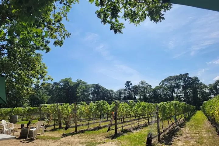 Long Island Winery Tour