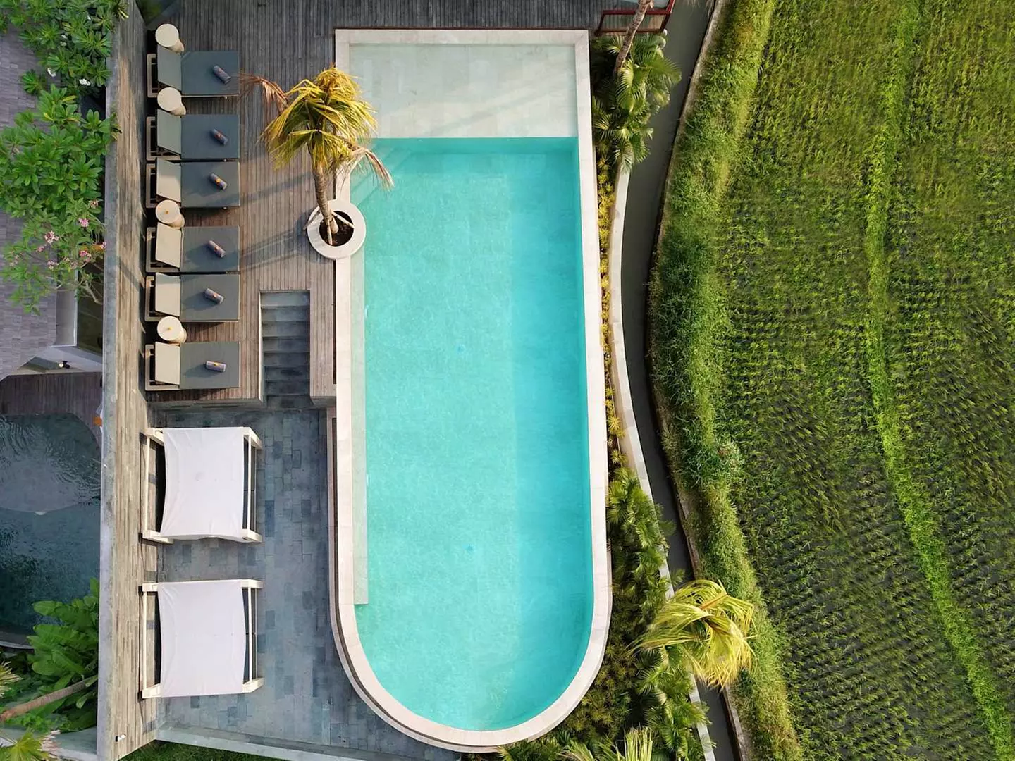 ✈ BALI | Ubud & Canggu - Amarea Resort & Spa Ubud & Astera Luxury R...