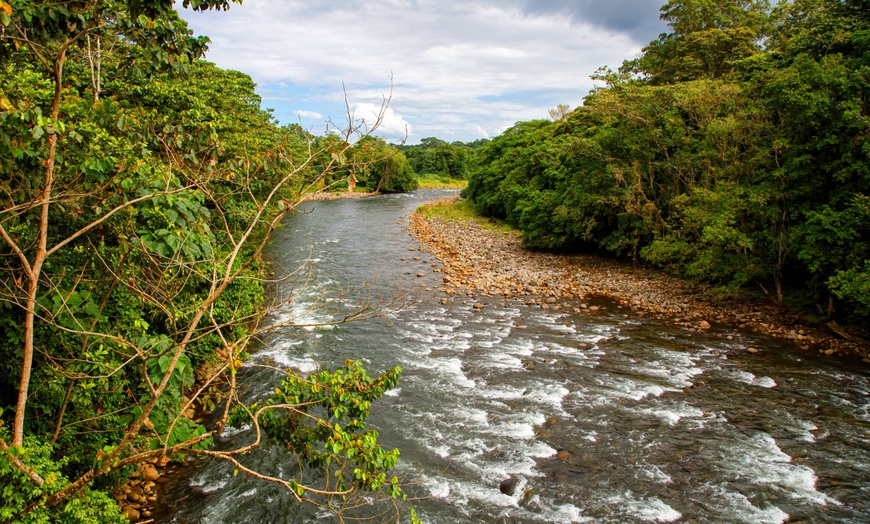 Image 5: ✈ COSTA RICA | San José - I gioielli della foresta pluviale: Costa ...