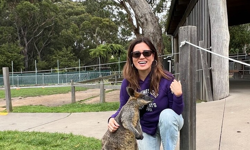 Image 4: South Coast Private Daily Group Tour - Pick up & Drop off