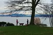Vancouver City Explorer Private Tour - Second Medium