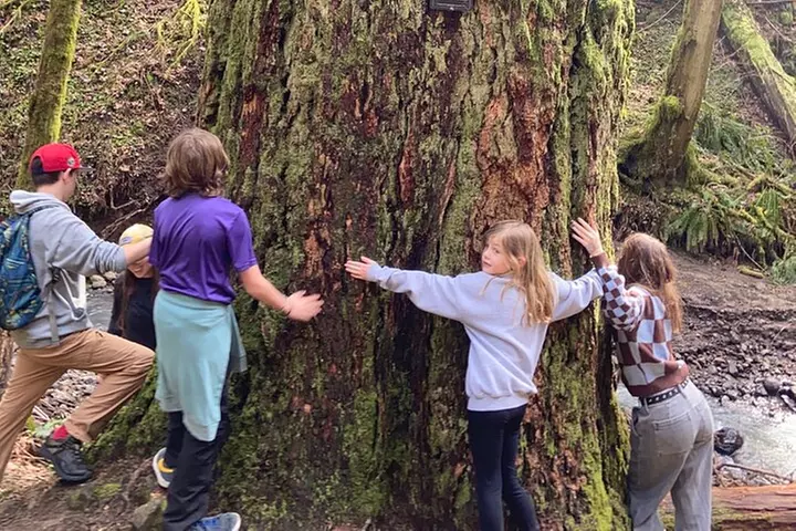 Forest Park Urban Hiking Tour, Portland