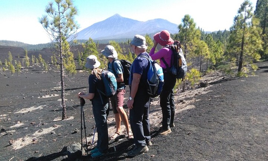 Image 3: Viajes en el tiempo entre los volcanes Trevejo y Chinyero en Tenerife