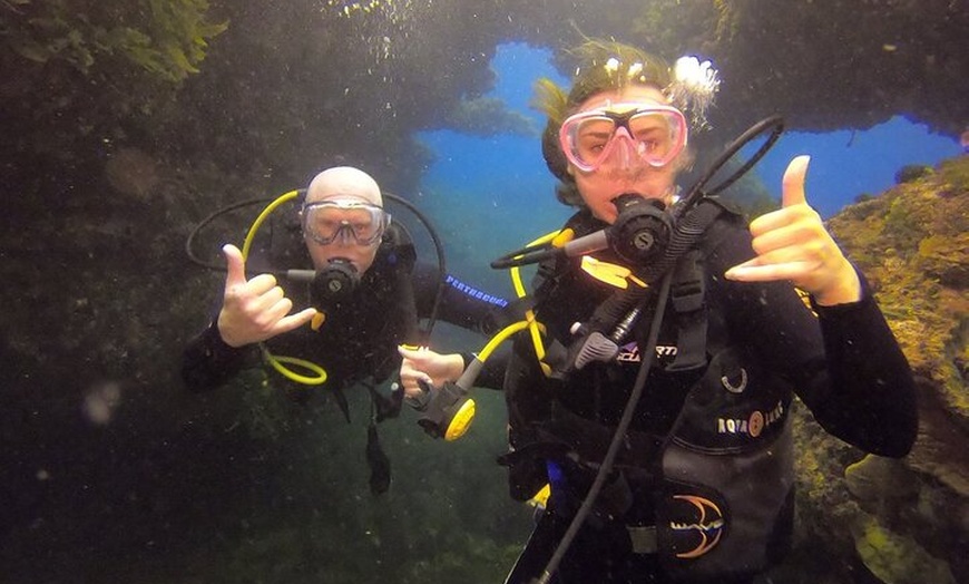 Image 3: Rottnest Island Boat Dive Day Trip including Lunch