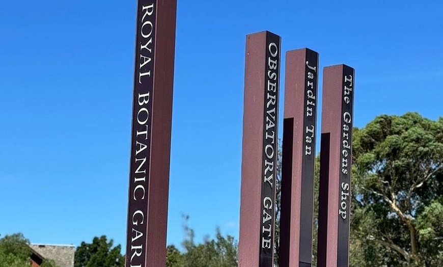 Image 12: Melbourne: Private Tour Explore the City & Brighton Beach Boxes.