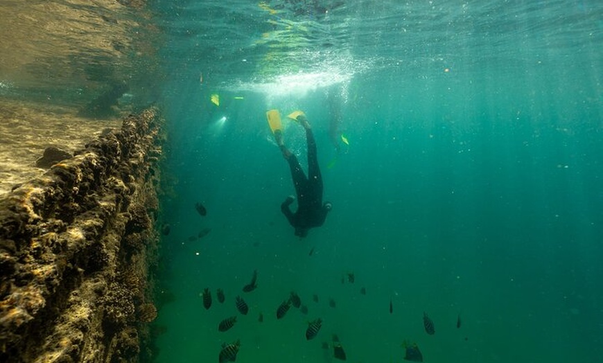 Image 3: Dunwich: Moreton Bay Islands Boat Tour with Swimming