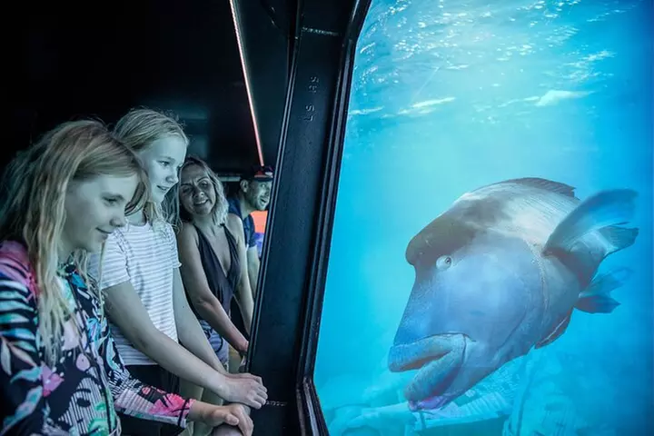 Snorkel & Dive the Reef: Sustainable, Scientific & Cultural Tour