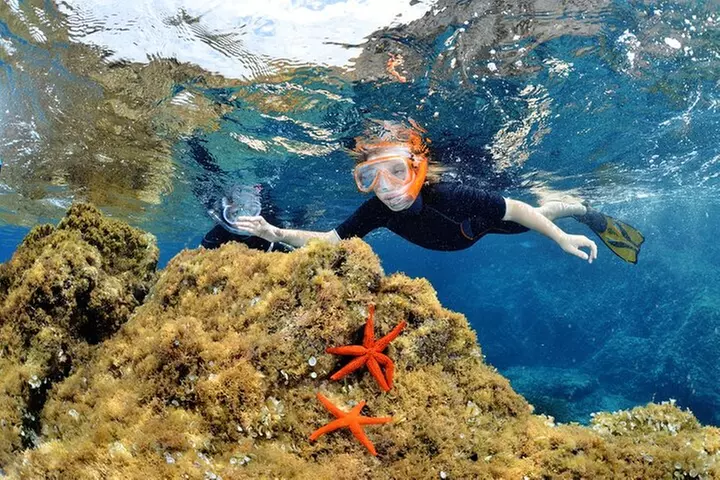 Sortie en Bateau et Snorkeling dans le Golfe de Calvi