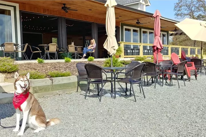 Half-Day Wine Tastings in the North Georgia Mountains