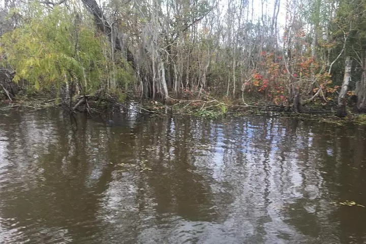 Oak Alley Plantation and Airboat Combo Tour by Bus