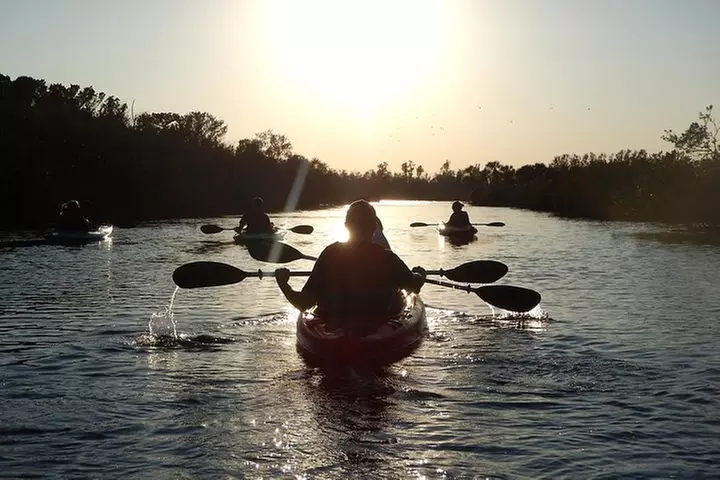 Manatees/Sunset/Bioluminescence Tour - Primary Image