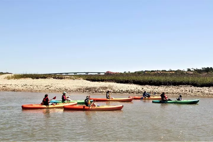 Hilton Head Guided Kayak Eco Tour