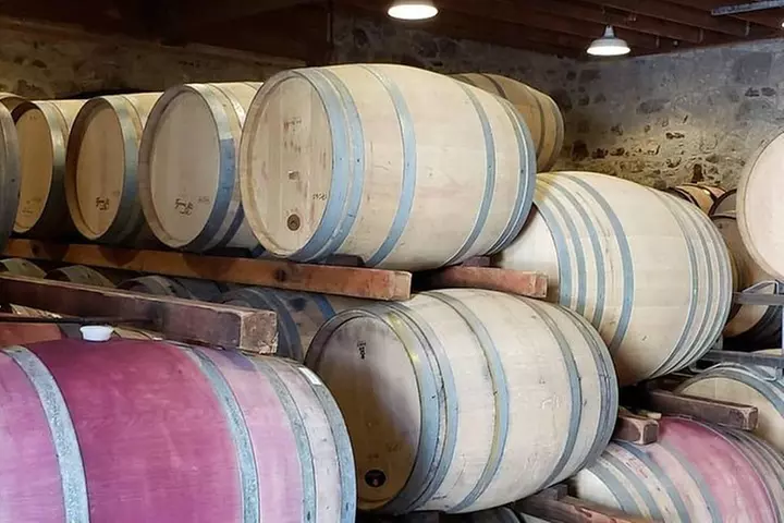 Private Full-Day Napa Wine Tour in a Luxury Vehicle