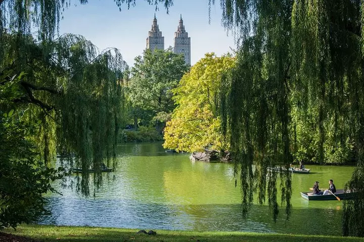 Horse Carriage Romantic Ride (VIP-Private) in Central Park 1964