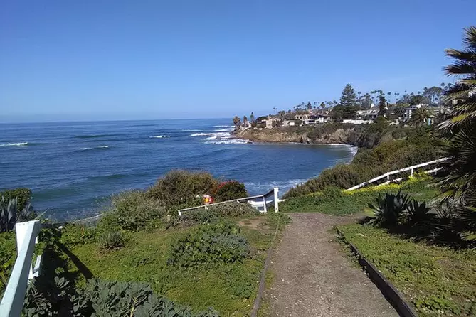 La Jolla Foodie "Happy Veggie" Tour - Primary Image