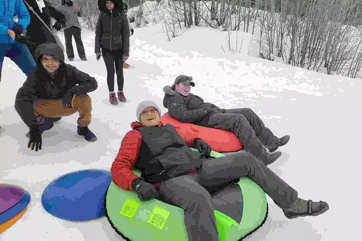 Arctic Circle and Northern Lights Tour from Fairbanks