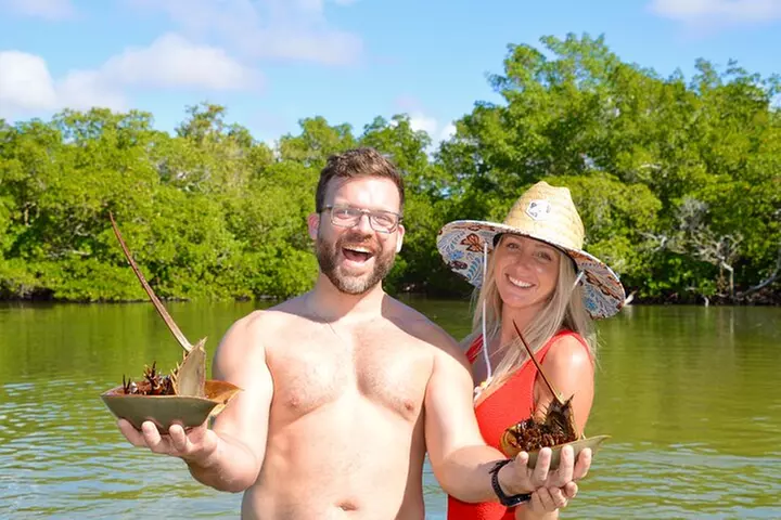 Exclusive Relax & Explore Pedal Kayak Tour Marco Island & Naples