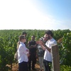 Image 1: Visita Guiada a Bodegas Rurales de Madrid con Cata de Vinos